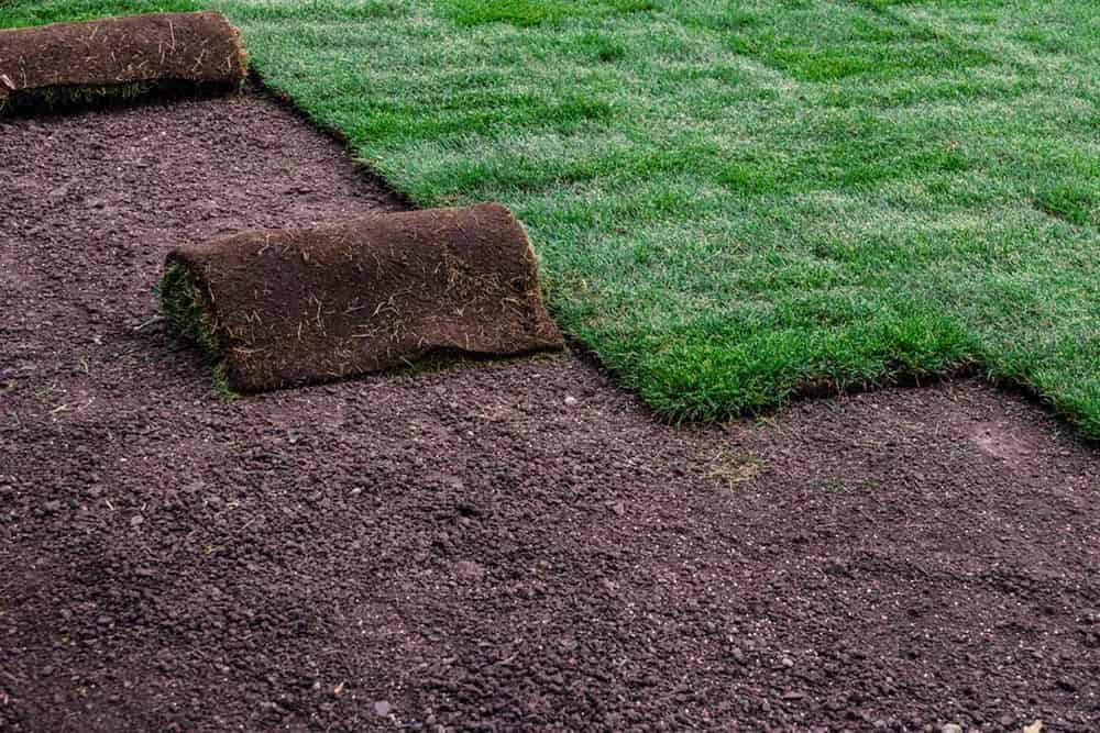 Sod Installation image