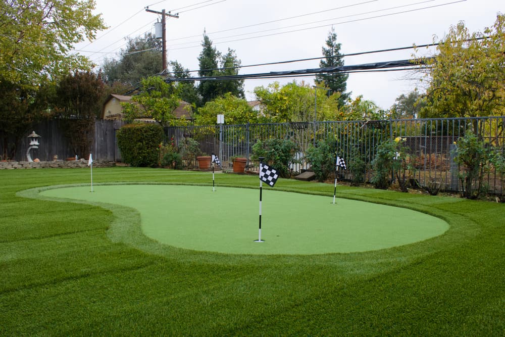 Gallery photos for The Hole in One: Image #3